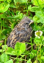 DSC_0163.jpg