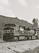 DSC_0373.jpg