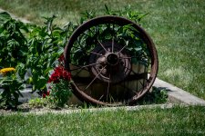 DSC_9870.jpg