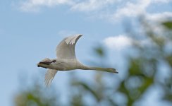 DSC_5162.jpg