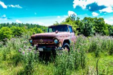 Truck (1 of 1).jpg