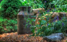 DSC_9887_8_9_tonemapped.jpg