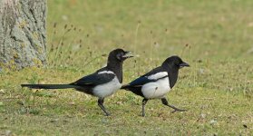 DSC_5178.jpg