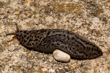 Day183-1.jpg