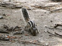 DSC_8793.JPG