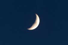 _DSC5204.jpg