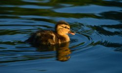 DSC_0577.jpg
