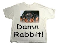 Daisy_Damn Rabbit.jpg
