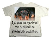 Daisy_Damn Rabbit_0.jpg