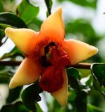 DSC_7542.jpg