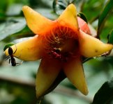 DSC_7543.jpg