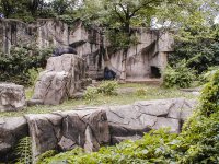 990628_Cinci Zoo 062899 10_1000.jpg