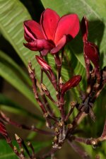 DSC_7586.jpg