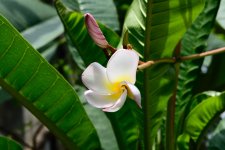 DSC_7594.jpg