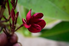 DSC_7597.jpg