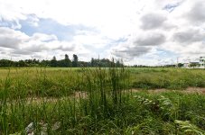 ontheway-3.jpg