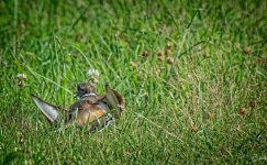 Day186-3.jpg