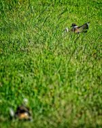 Day186-3a.jpg
