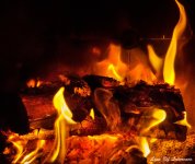 Burning LOL.jpg
