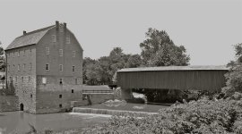 CSC_0481.jpg