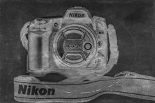 DSC_2569_webshot.jpg