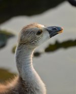 DSC_0173.jpg