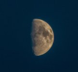 DSC_1119.jpg
