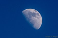 DSC_9896.jpg