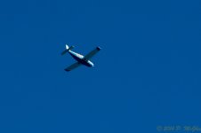 DSC_9899.jpg
