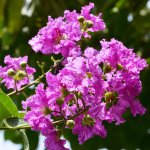 DSC_8710.jpg