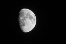 _DSC5396.jpg
