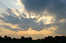 DSC_0096.jpg