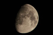 _DSC5404.jpg