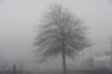 DSC_3523.jpg