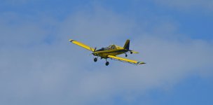 DSC_0120.jpg
