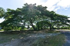 banbuengtwmple2-5.jpg