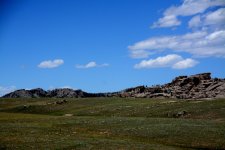 DSC_6338.JPG
