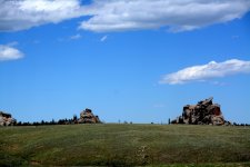 DSC_6339.JPG