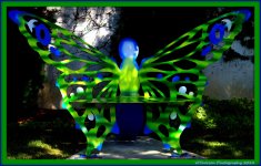 Green and Blue Butterfly Bench.jpg