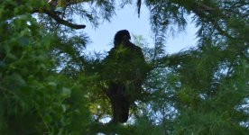 DSC_0115.jpg