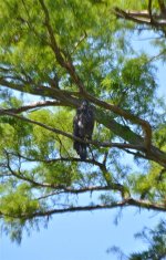 DSC_0116.jpg