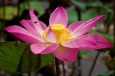 p776669584-4.jpg