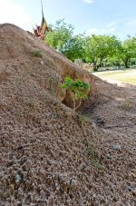 banbuengtwmple2-22.jpg