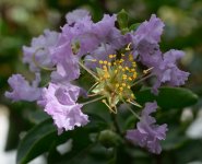 DSC_6978.jpg