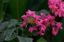 DSC_6973.jpg
