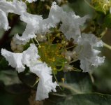 DSC_6974.jpg