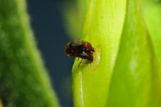 boringsex.jpg