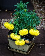 Day191-1.jpg