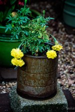Day191-2.jpg