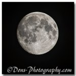 D71_6714-FrameShop.jpg